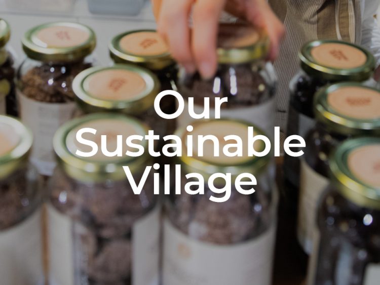 Our Sustainable Village