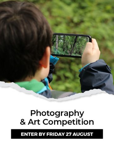 COVID Art Competition