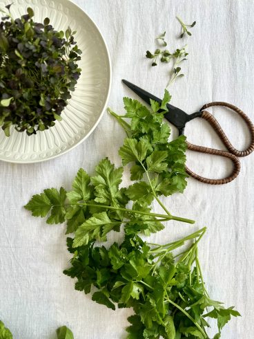 The best way to store herbs and keep them lasting longer