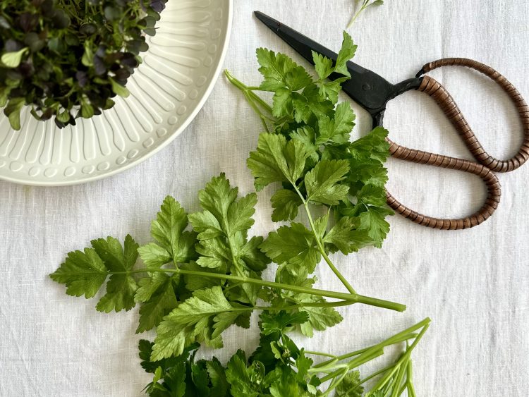 The best way to store herbs and keep them lasting longer